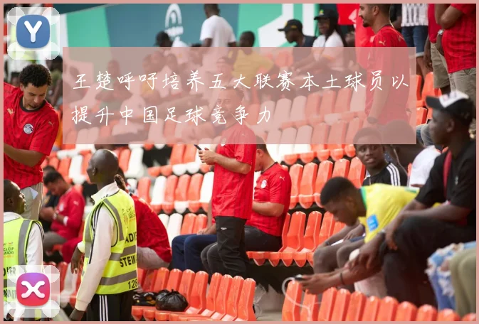 王楚呼吁培养五大联赛本土球员以提升中国足球竞争力