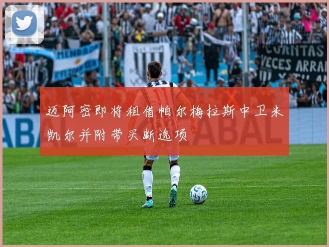 迈阿密即将租借帕尔梅拉斯中卫米凯尔并附带买断选项